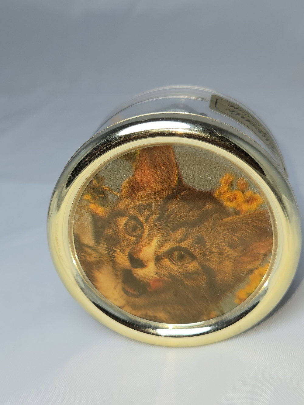 Vintage Reuge Music Box Kitten Cat Raindrops Keep Fallin' On My Head Swiss Movem